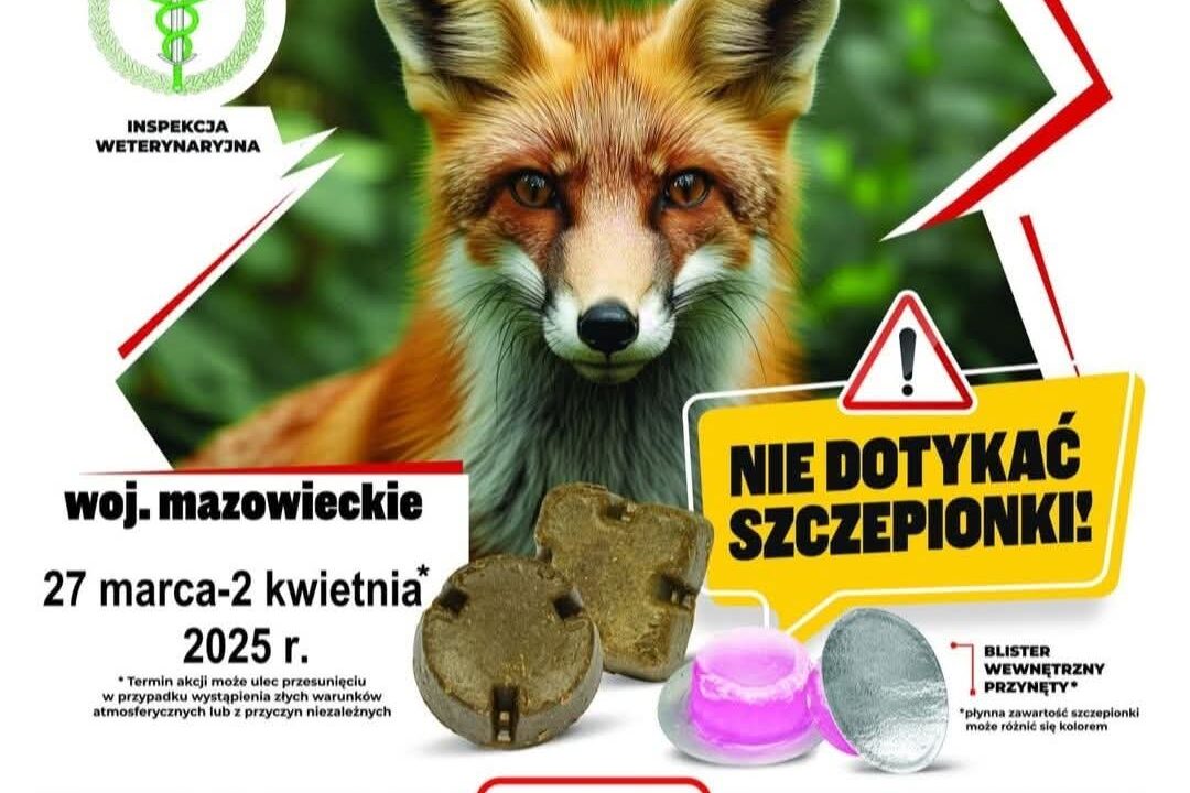 UWAGA- SZCZEPIENIE PRZEIWKO WŚCIEKLIŹNIE